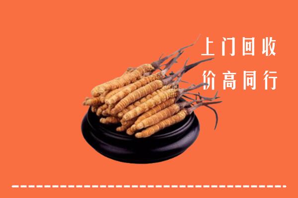 高价求购：巴中市恩阳区回收散虫草