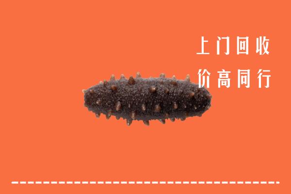 巴中市恩阳区回收海参