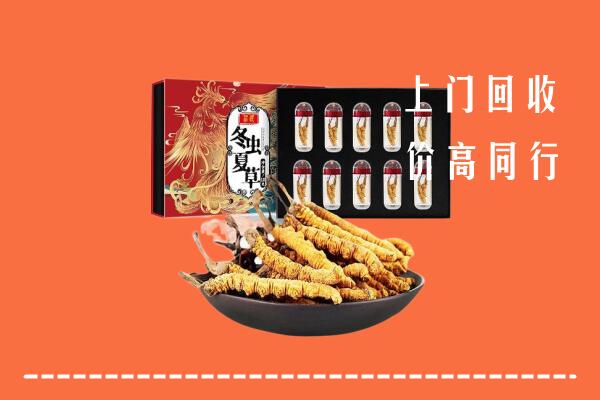 巴中市恩阳区回收虫草
